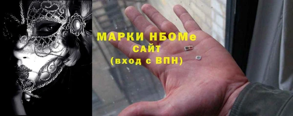 крисы Магадан