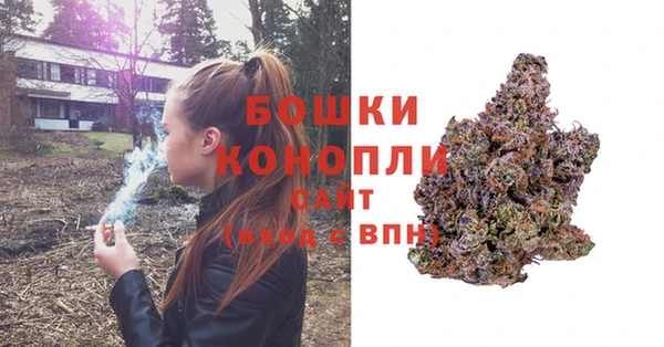крисы Магадан