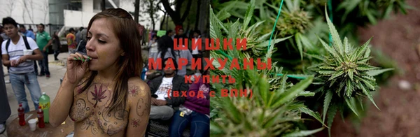 крисы Магадан