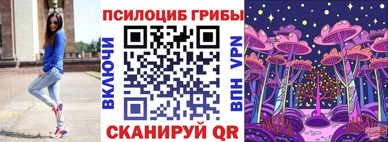наркотики  Мончегорск  Псилоцибиновые грибы Cubensis 